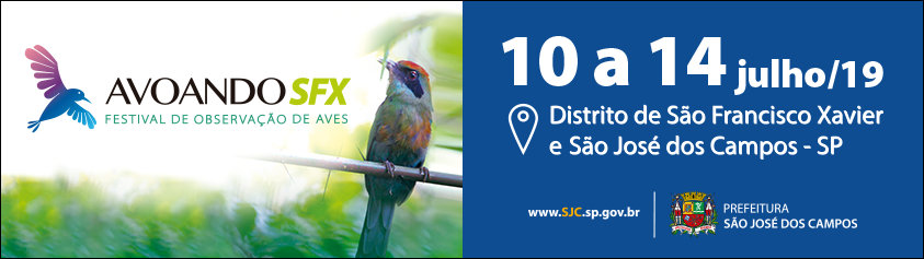 Rugby internacional tem a segunda rodada neste sábado 2