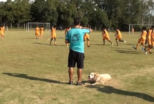 Manthiqueira de Guará estreia após folga na tabela 7