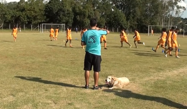 Manthiqueira de Guará estreia após folga na tabela 1