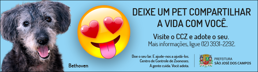 São José Basketball procura vitória no Nordeste 2