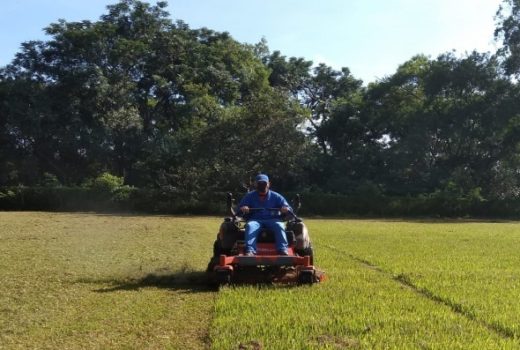 Futebol amador joseense tem manutenção de campos 4