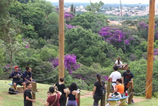 Arbotrilha em parque joseense foi bem aproveitada 5