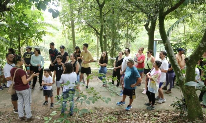 Parque Alberto Simões tem arbotrilha neste sábado 3 Parque Alberto Simões tem arbotrilha neste sábado 3