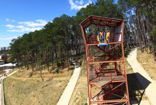 Parque Alberto Simões tem arbotrilha neste sábado 6